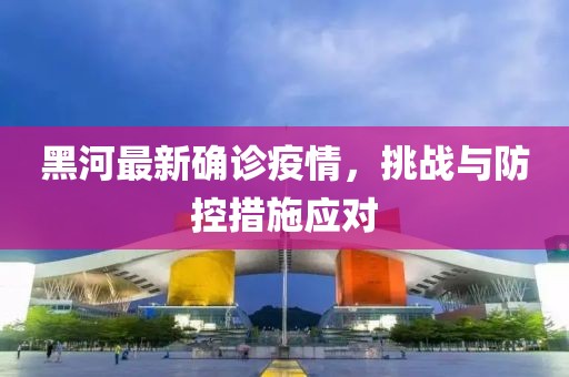 黑河最新确诊疫情，挑战与防控措施应对