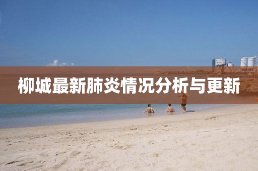 柳城最新肺炎情况分析与更新