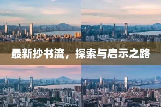 最新抄书流，探索与启示之路