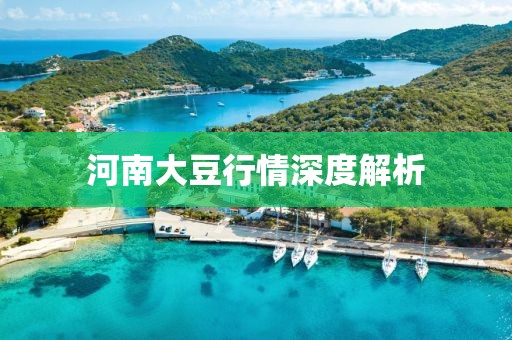 河南大豆行情深度解析