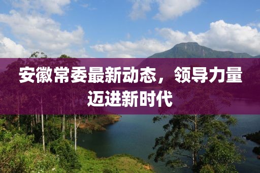 安徽常委最新动态，领导力量迈进新时代