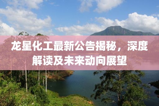 龙星化工最新公告揭秘，深度解读及未来动向展望