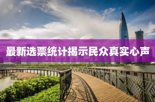 最新选票统计揭示民众真实心声