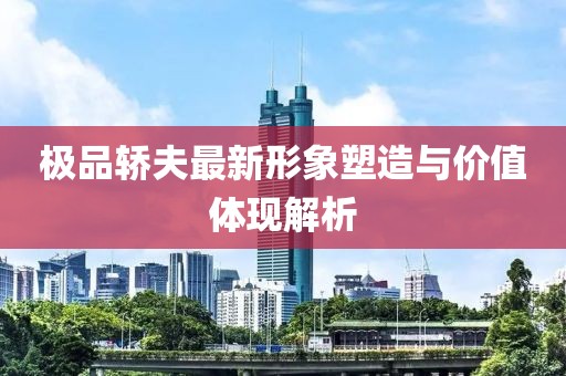 极品轿夫最新形象塑造与价值体现解析