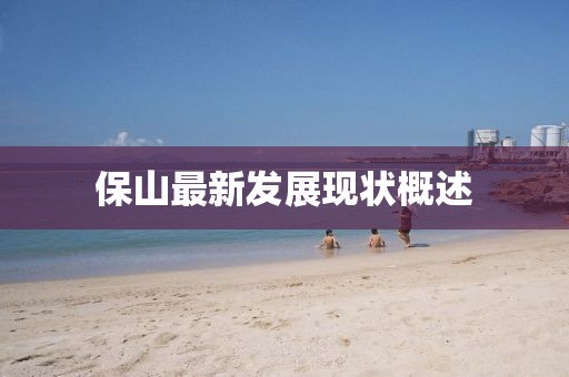 保山最新发展现状概述