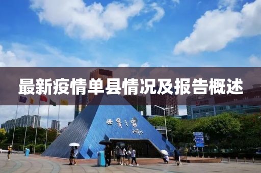 最新疫情单县情况及报告概述