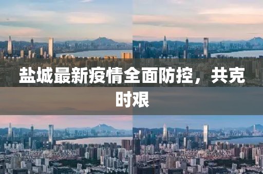 盐城最新疫情全面防控，共克时艰