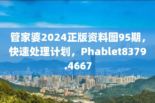 管家婆2024正版资料图95期，快速处理计划，Phablet8379.4667