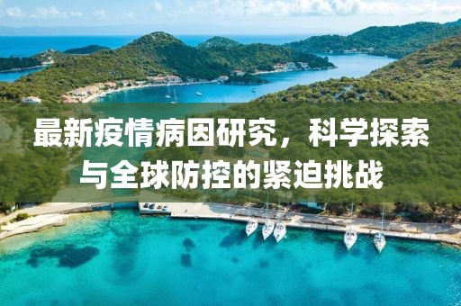 最新疫情病因研究，科学探索与全球防控的紧迫挑战