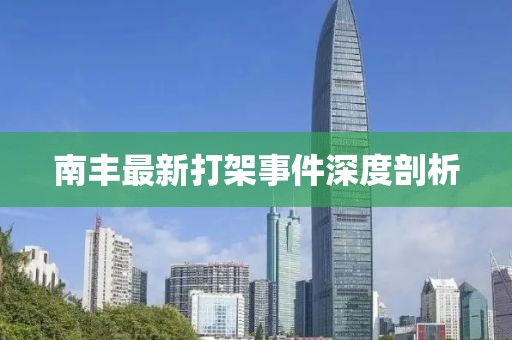 南丰最新打架事件深度剖析