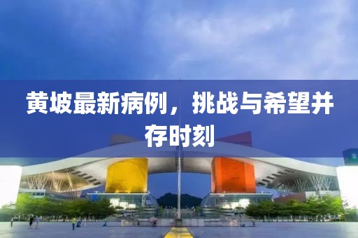 黄坡最新病例，挑战与希望并存时刻