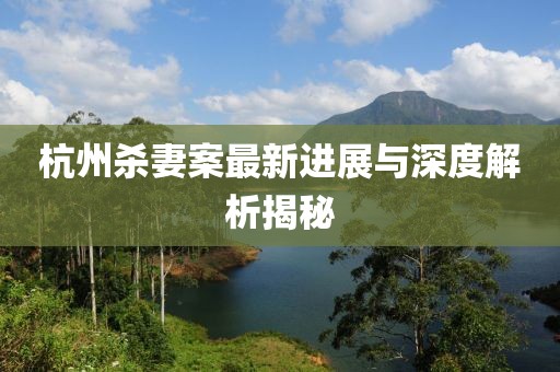 杭州杀妻案最新进展与深度解析揭秘