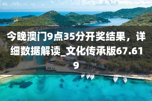 今晚澳门9点35分开奖结果，详细数据解读_文化传承版67.619