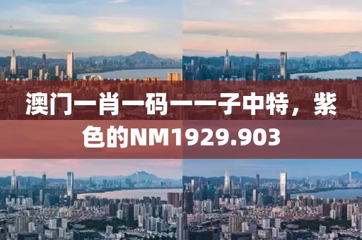 澳门一肖一码一一子中特，紫色的NM1929.903