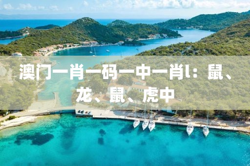 澳门一肖一码一中一肖l：鼠、龙、鼠、虎中