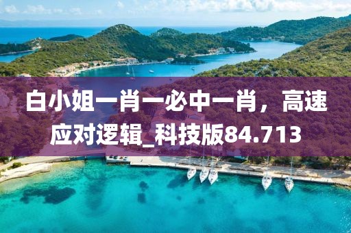 白小姐一肖一必中一肖，高速应对逻辑_科技版84.713