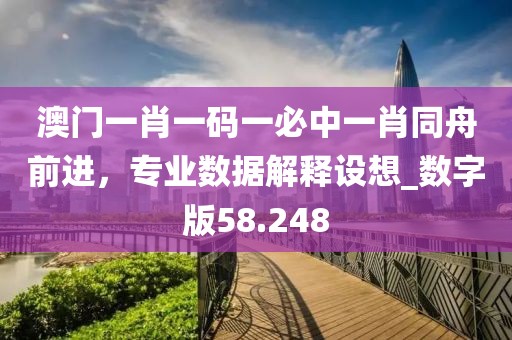 澳门一肖一码一必中一肖同舟前进，专业数据解释设想_数字版58.248