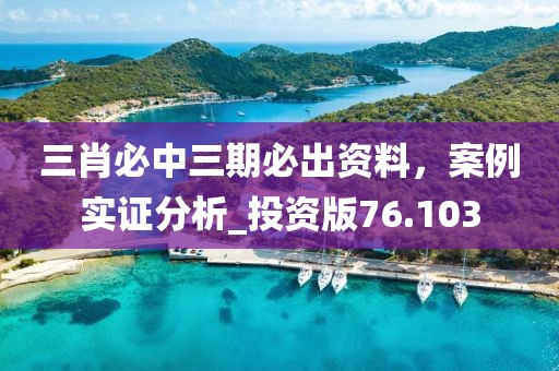 三肖必中三期必出资料，案例实证分析_投资版76.103