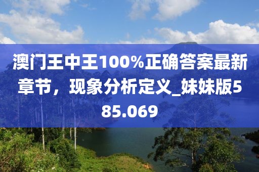 澳门王中王100%正确答案最新章节，现象分析定义_妹妹版585.069