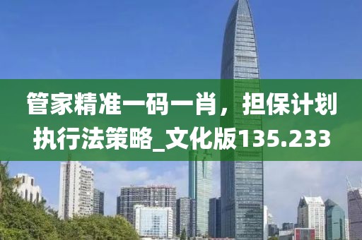 管家精准一码一肖，担保计划执行法策略_文化版135.233