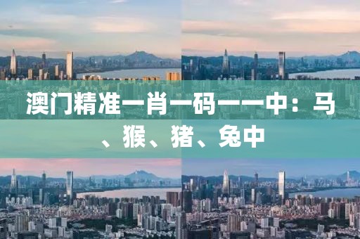 澳门精准一肖一码一一中：马、猴、猪、兔中