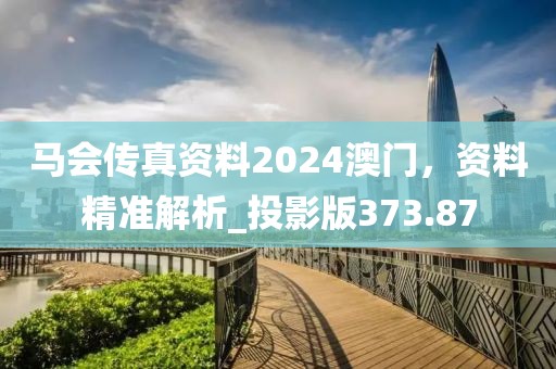 马会传真资料2024澳门，资料精准解析_投影版373.87