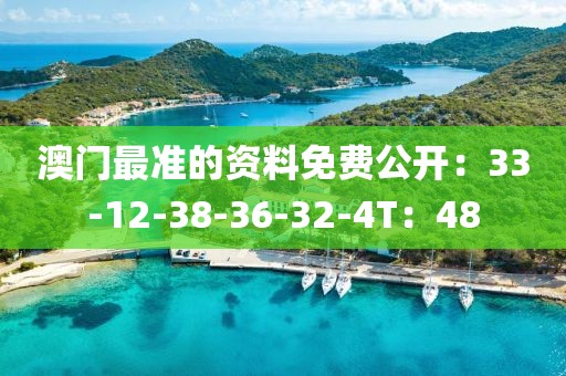 澳门最准的资料免费公开：33-12-38-36-32-4T：48