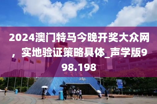 2024澳门特马今晚开奖大众网，实地验证策略具体_声学版998.198