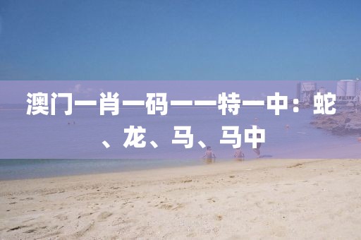 澳门一肖一码一一特一中：蛇、龙、马、马中