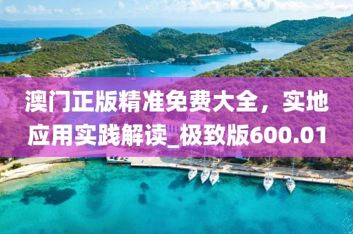 澳门正版精准免费大全，实地应用实践解读_极致版600.01