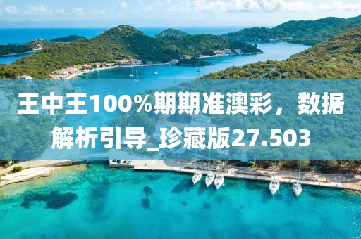 王中王100%期期准澳彩，数据解析引导_珍藏版27.503