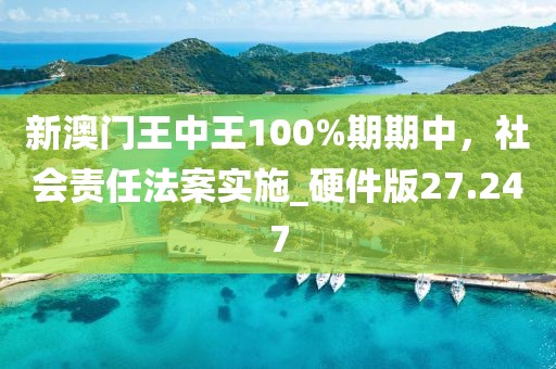新澳门王中王100%期期中，社会责任法案实施_硬件版27.247