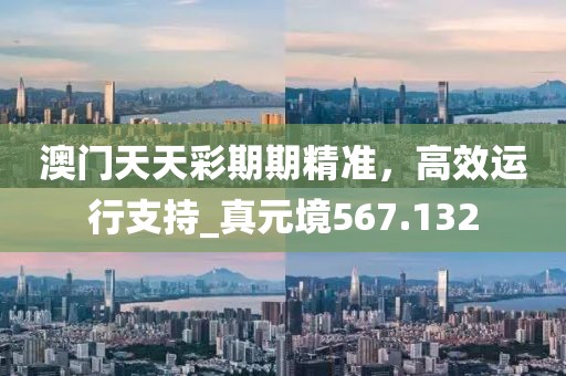 澳门天天彩期期精准，高效运行支持_真元境567.132