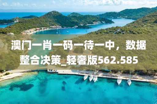 澳门一肖一码一待一中，数据整合决策_轻奢版562.585