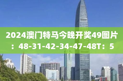 2024澳门特马今晚开奖49图片：48-31-42-34-47-48T：5