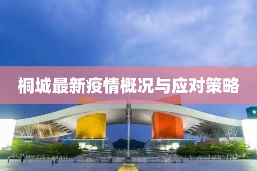 桐城最新疫情概况与应对策略