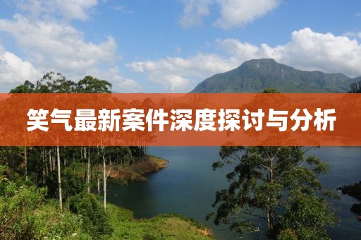 笑气最新案件深度探讨与分析
