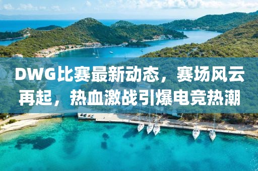 DWG比赛最新动态，赛场风云再起，热血激战引爆电竞热潮