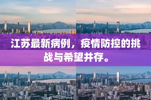 江苏最新病例，疫情防控的挑战与希望并存。