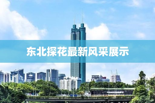 东北探花最新风采展示