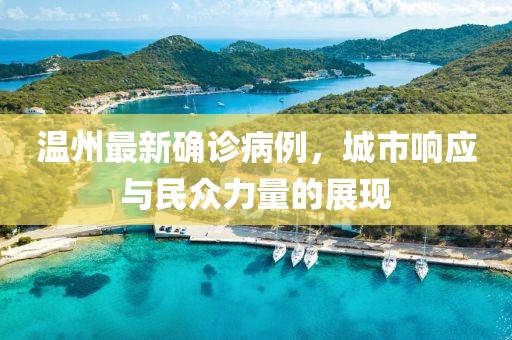温州最新确诊病例，城市响应与民众力量的展现