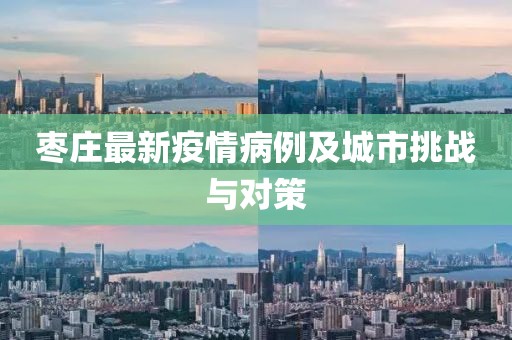 枣庄最新疫情病例及城市挑战与对策