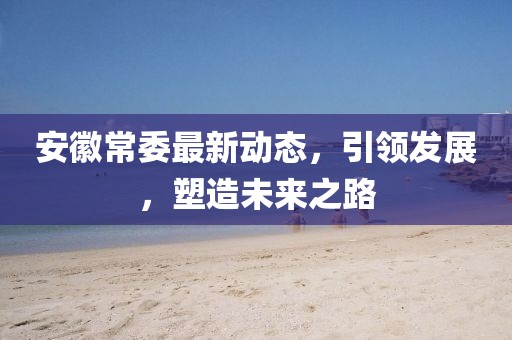 安徽常委最新动态，引领发展，塑造未来之路