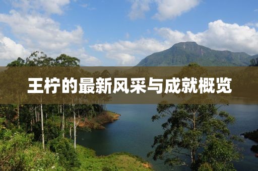 王柠的最新风采与成就概览