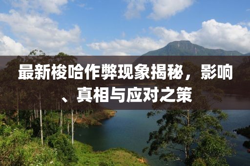 最新梭哈作弊现象揭秘，影响、真相与应对之策