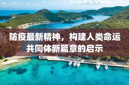 防疫最新精神，构建人类命运共同体新篇章的启示