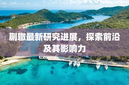 蒯辙最新研究进展，探索前沿及其影响力