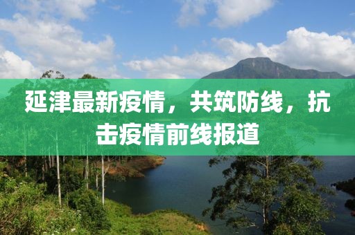 延津最新疫情，共筑防线，抗击疫情前线报道
