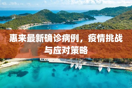 惠来最新确诊病例，疫情挑战与应对策略