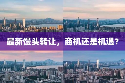 最新馒头转让，商机还是机遇？